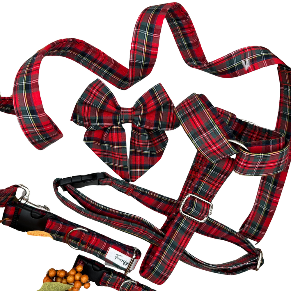 Timeless Tartan - Bundle